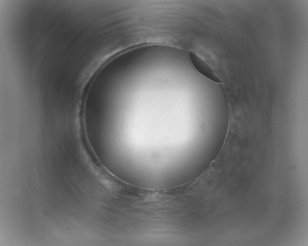 X0000071970098200607212328