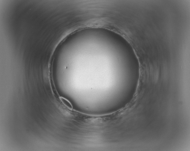 X0000071970100200607212328