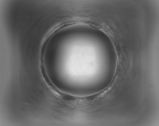 X0000071970101200607212328