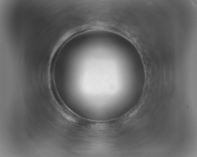 X0000071970102200607212328