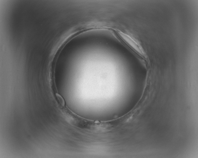 X0000071970103200607212328