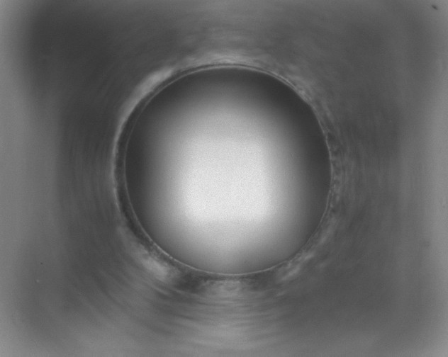 X0000071970104200607212328