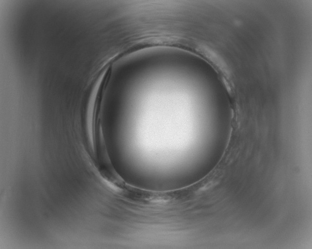 X0000071970105200607212328