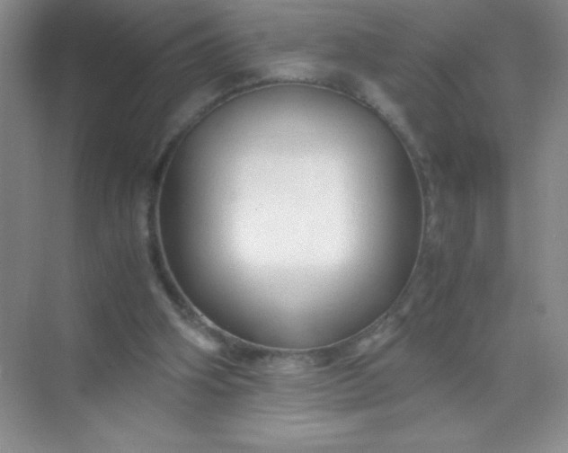 X0000071970106200607212328