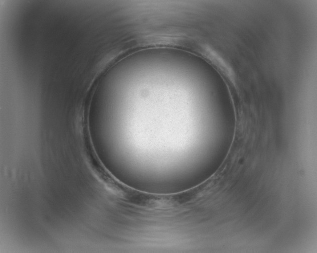 X0000071970107200607212328