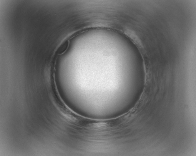 X0000071970108200607212328