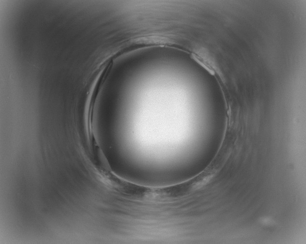 X0000071970109200607212328