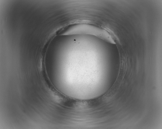 X0000071970110200607212328