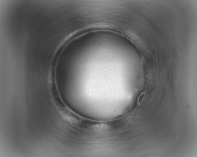 X0000071970112200607212328