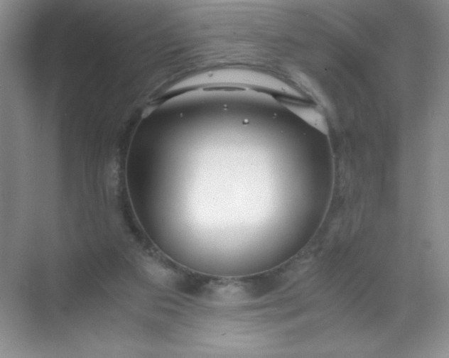 X0000071970113200607212328