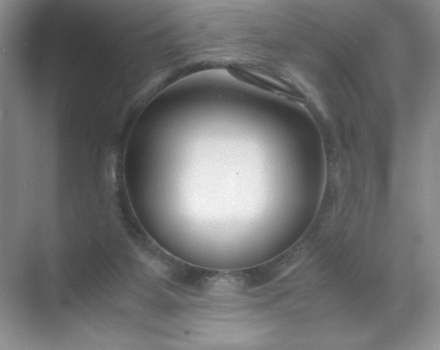 X0000071970115200607212328