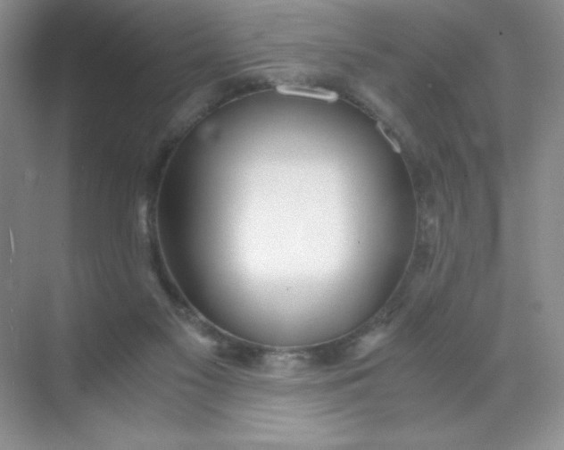 X0000071970117200607212328