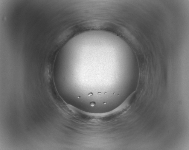 X0000071970119200607212328