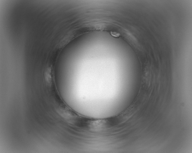 X0000071970122200607212328