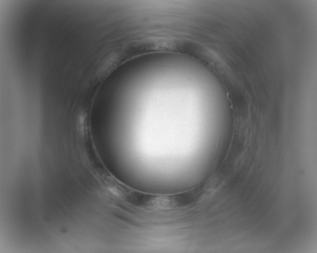 X0000071970123200607212328