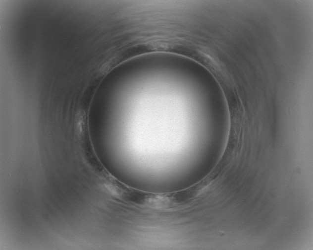 X0000071970125200607212328