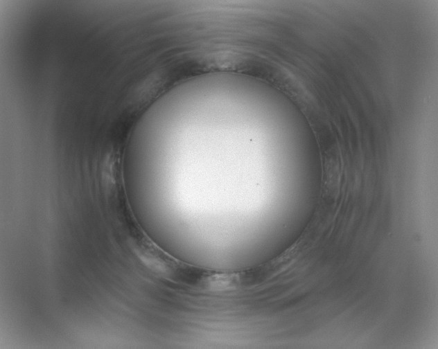 X0000071970126200607212328