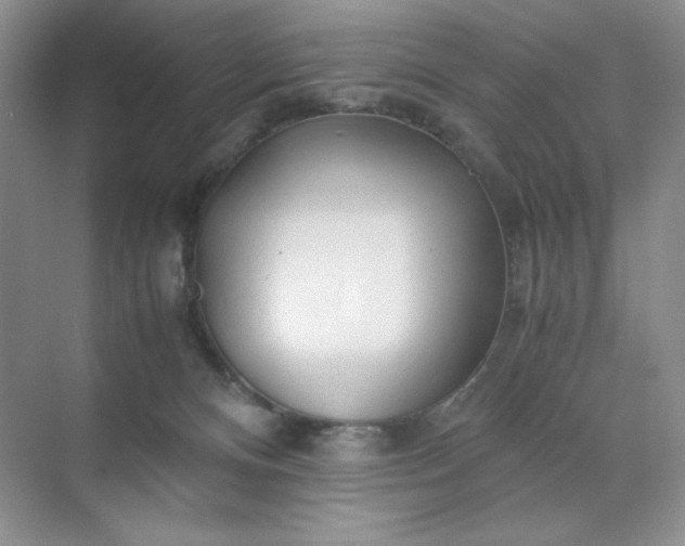 X0000071970128200607212328