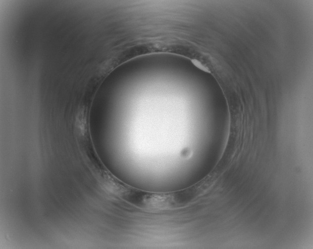 X0000071970129200607212328