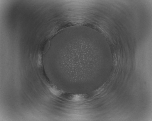 X0000071970130200607212328