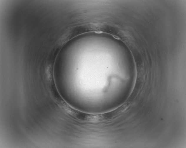 X0000071970131200607212328