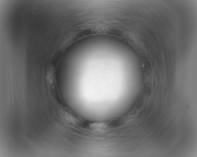 X0000071970133200607212328