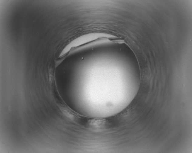 X0000071970135200607212328