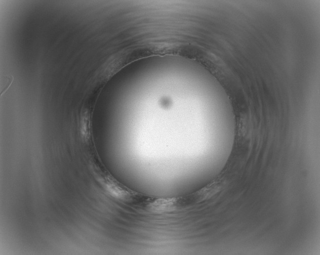 X0000071970138200607212328