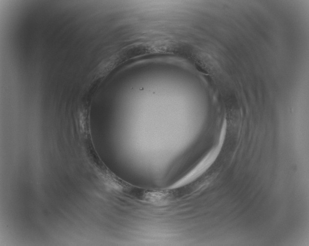 X0000071970139200607212328