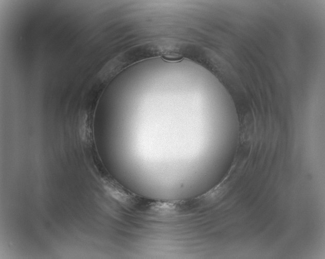 X0000071970140200607212328