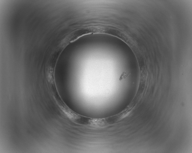 X0000071970141200607212328