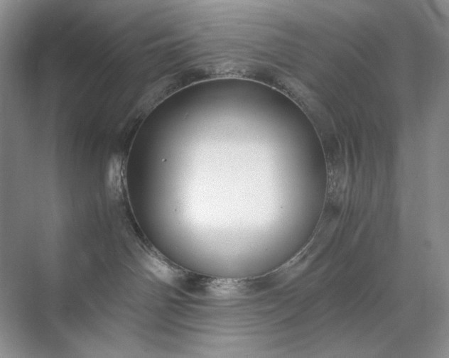 X0000071970142200607212328