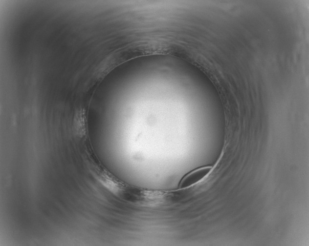 X0000071970144200607212328