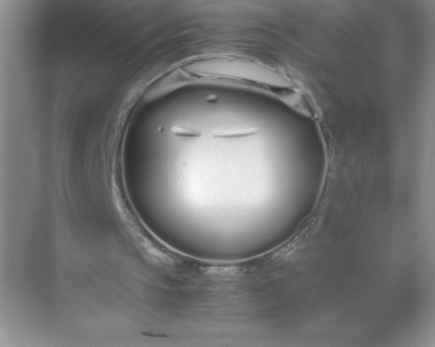 X0000071970145200607212327