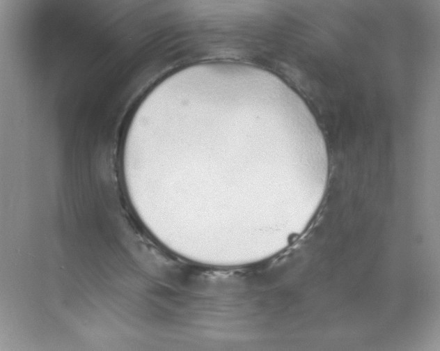 X0000071970146200607212327