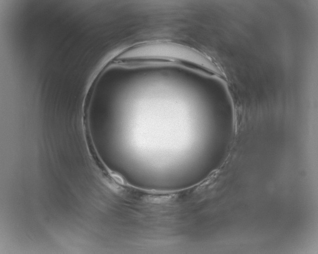 X0000071970147200607212327