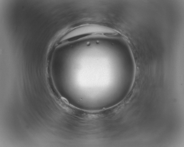 X0000071970149200607212327