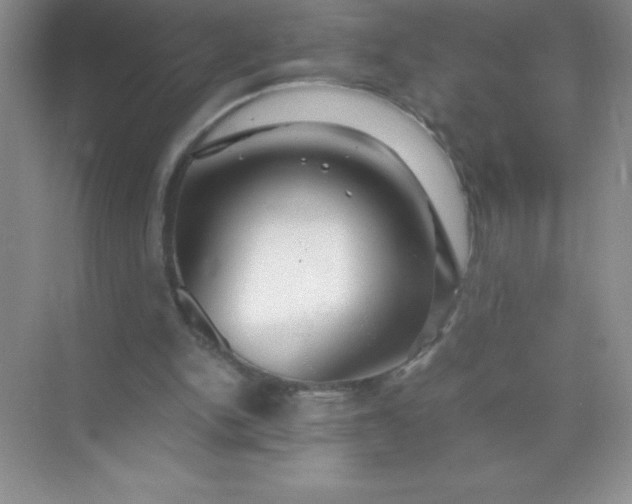 X0000071970150200607212327