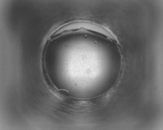 X0000071970151200607212327