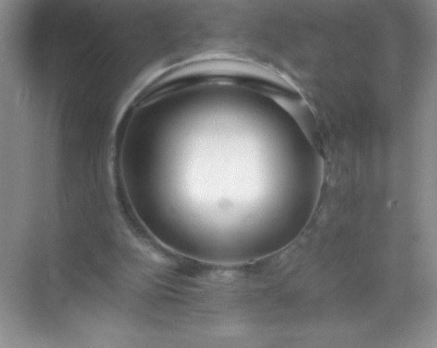 X0000071970152200607212327