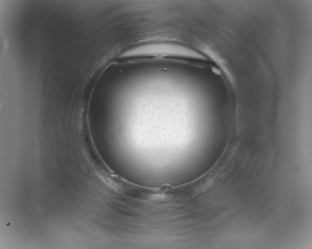 X0000071970153200607212327