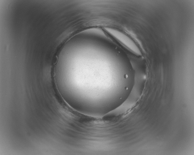 X0000071970154200607212327