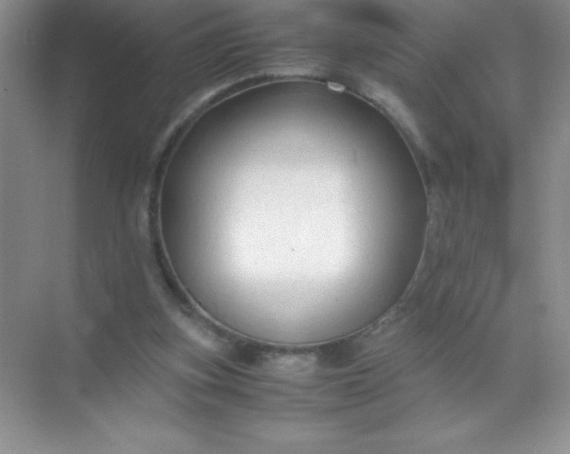 X0000071970155200607212327