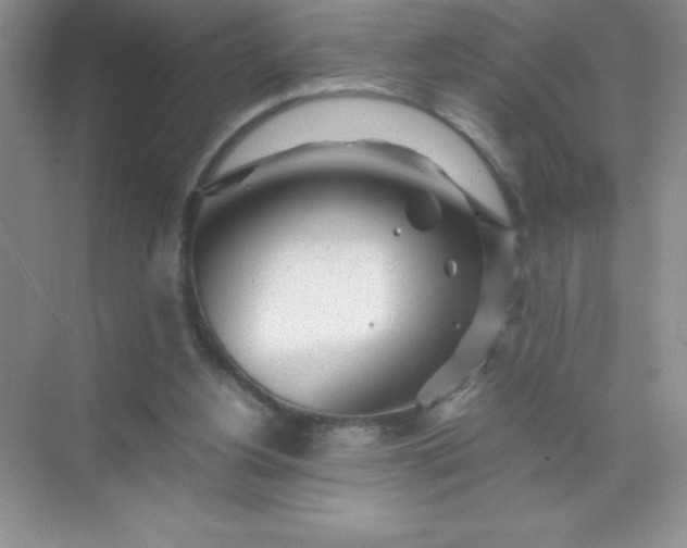 X0000071970156200607212327