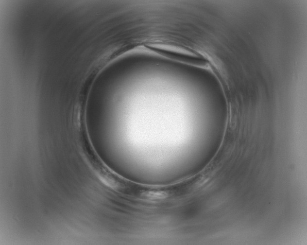 X0000071970157200607212327