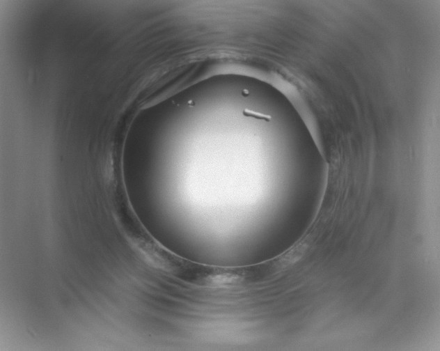 X0000071970158200607212327