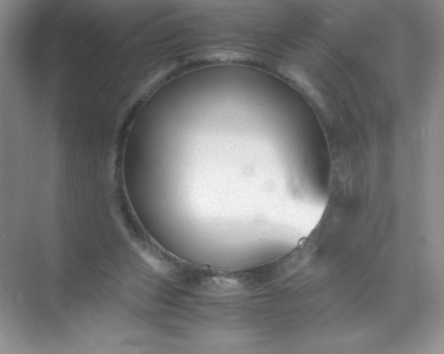 X0000071970159200607212327