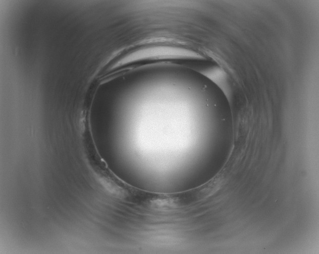 X0000071970160200607212327