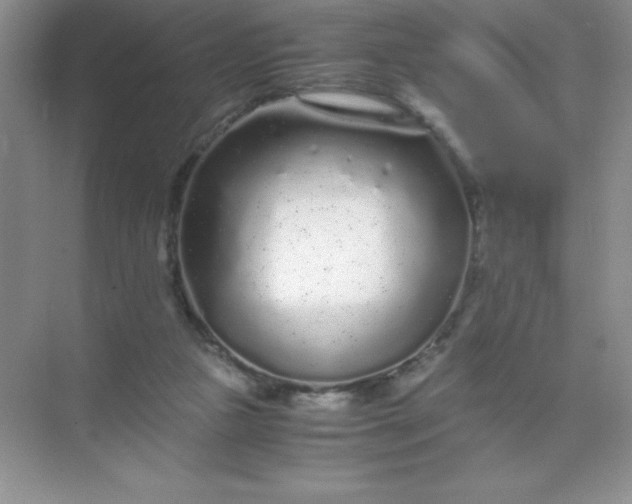 X0000071970161200607212327