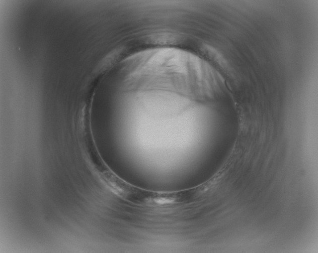 X0000071970163200607212327